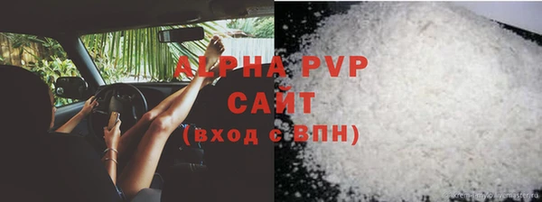 прущие грибы Ростов