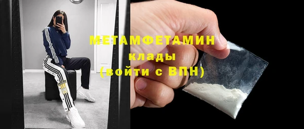 прущие грибы Ростов