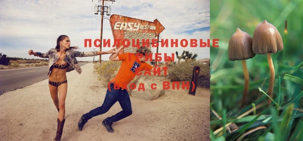 спайс Рославль